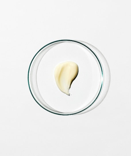 BODY CREAM - MANDARIN & ROSEMARY LEAF The Grown Alchemist Mr. Regimen